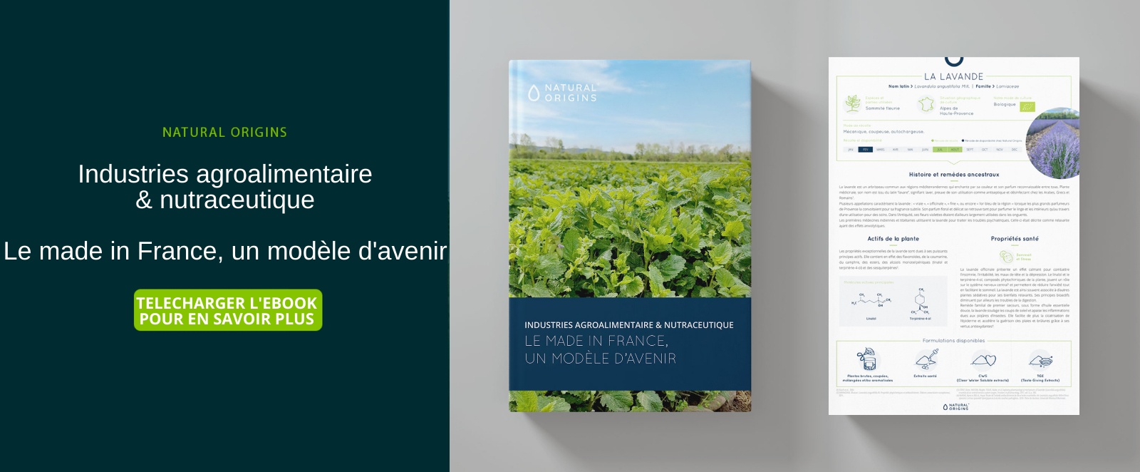 Le made in France, un modèle d'avenir